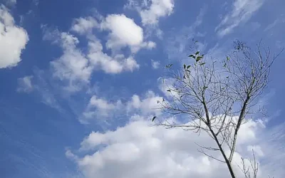 阿里云教育：云计算全栈学习