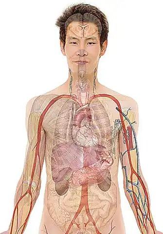 阿里云盘挂载问题