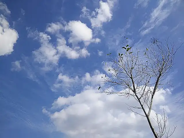 阿里云图像增强接口-图片色彩增强