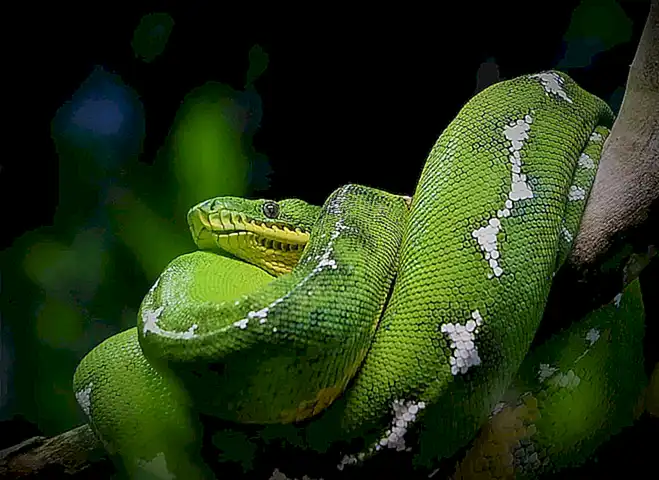 Arthas jad 命令:高效反编译 JVM 字节码