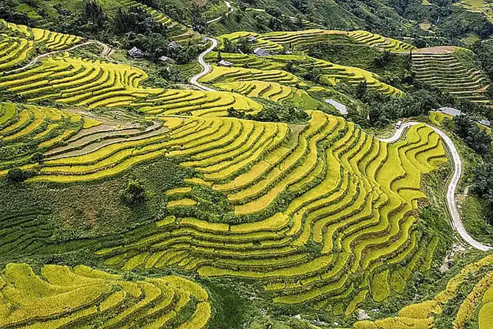 服务中断和数据丢失