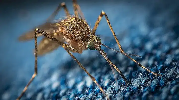 微X模块双开在EDXposed失效解决