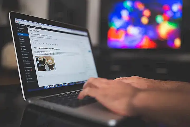 WordPress 核心概述